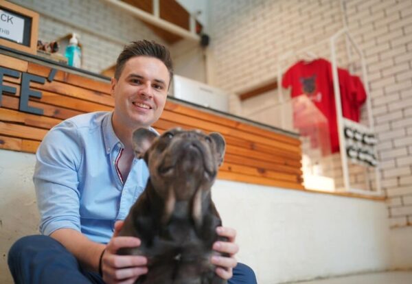 Assurance Animaux Assurance Animaux